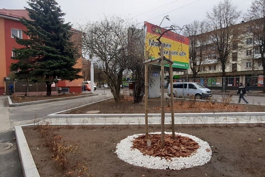 «К качеству есть претензии»: в Калининграде благоустраивают сквер у Балтийского рынка (фото)