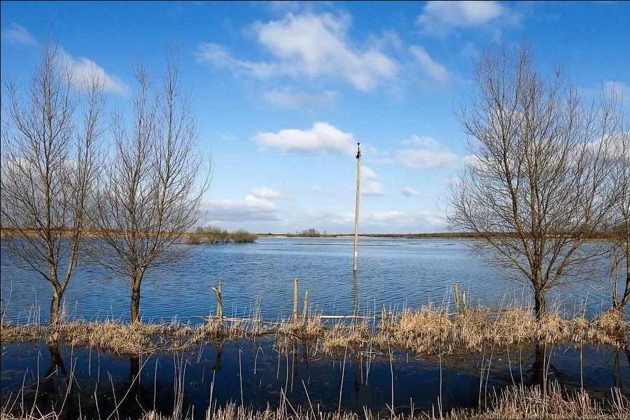 Синоптики обещают на неделе в Калининграде солнце, дневное тепло и мороз ночью