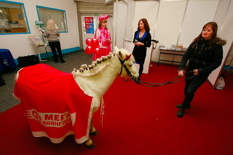 "Инфоэкспо-2009": фоторепортаж "Нового Калининграда.Ru"