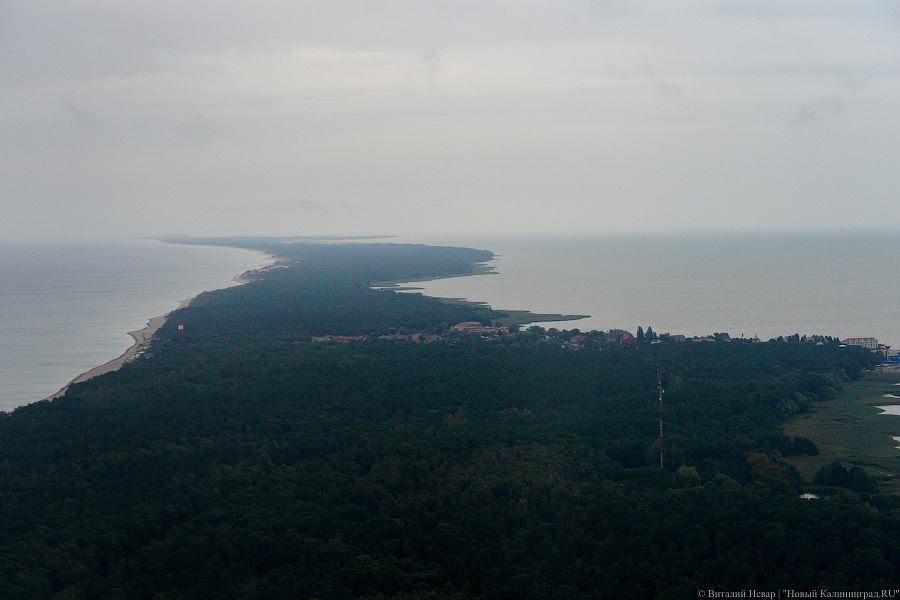 Прилетит вдруг волшебник: как голосовали на платформе «Д-6»