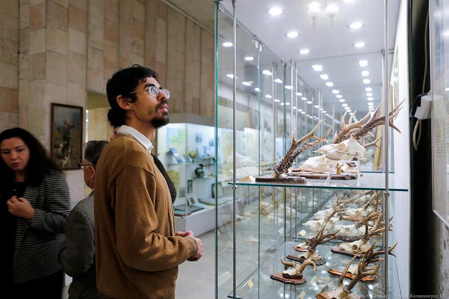 Без очередей и огненного шоу: как в Калининграде прошла «Ночь искусств»