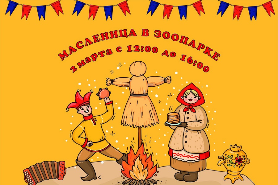 Изображение из ТГ-канала Калининградского зоопарка