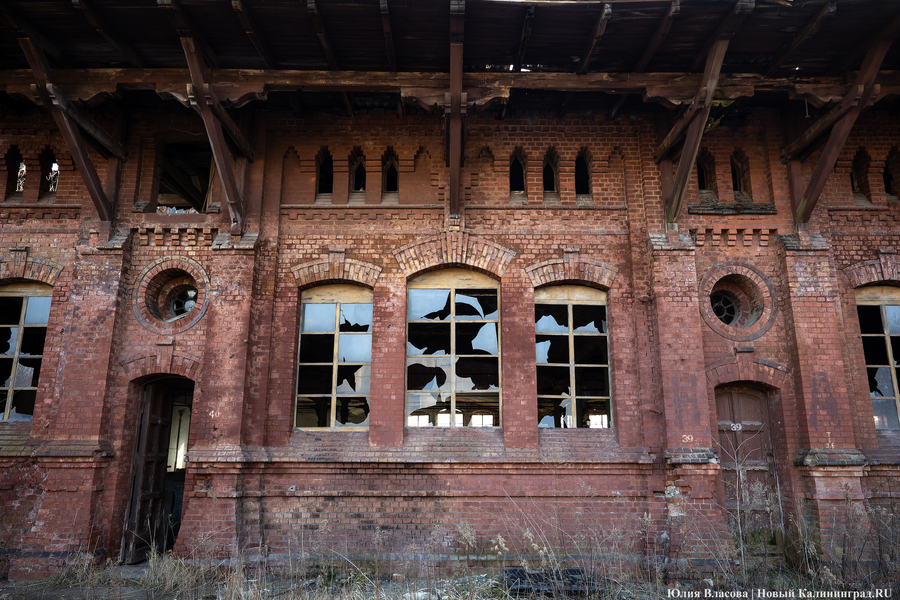 След Розенау: как выглядит заброшенный мясокомбинат на Аллее Смелых (фото)