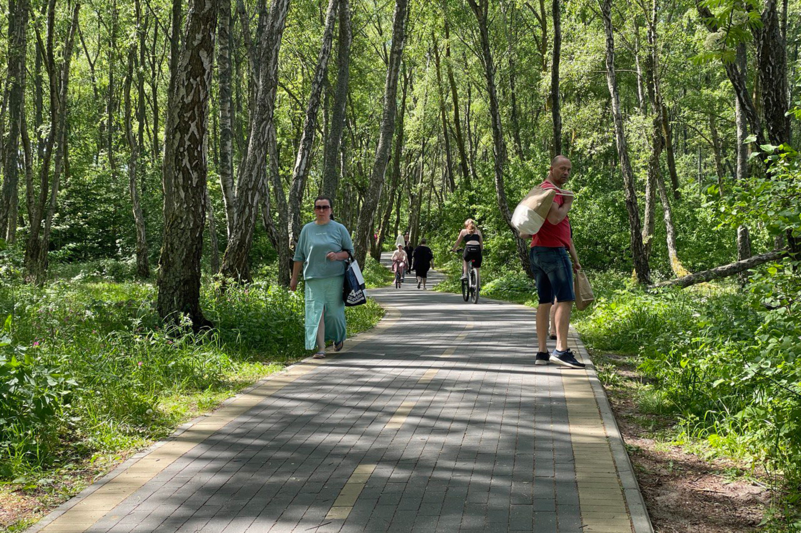 Беспрозванных выделил деньги на выкуп земель под вторую очередь велодорожки