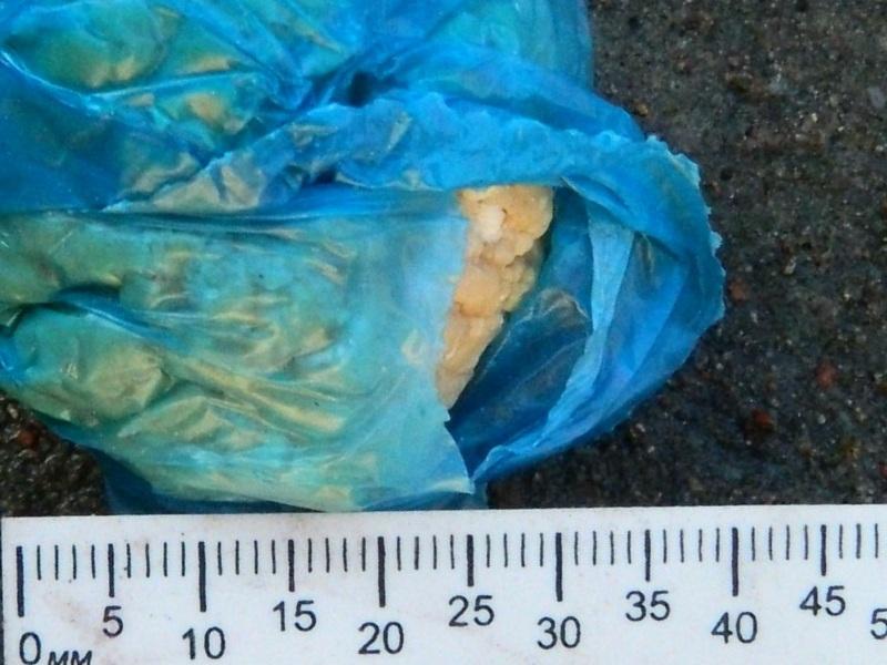 В Калининградской области задержан один из главных наркоторговцев в регионе (+фото)