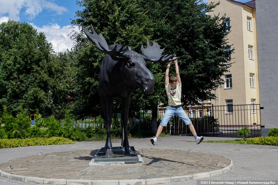 Лось, королева Луиза и старый трамвай: чем может привлечь туристов Советский Тильзит