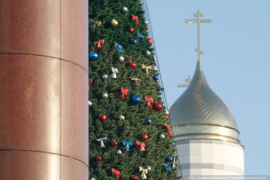 "Много на ёлочке шариков цветных": фоторепортаж "Нового Калининграда.Ru"