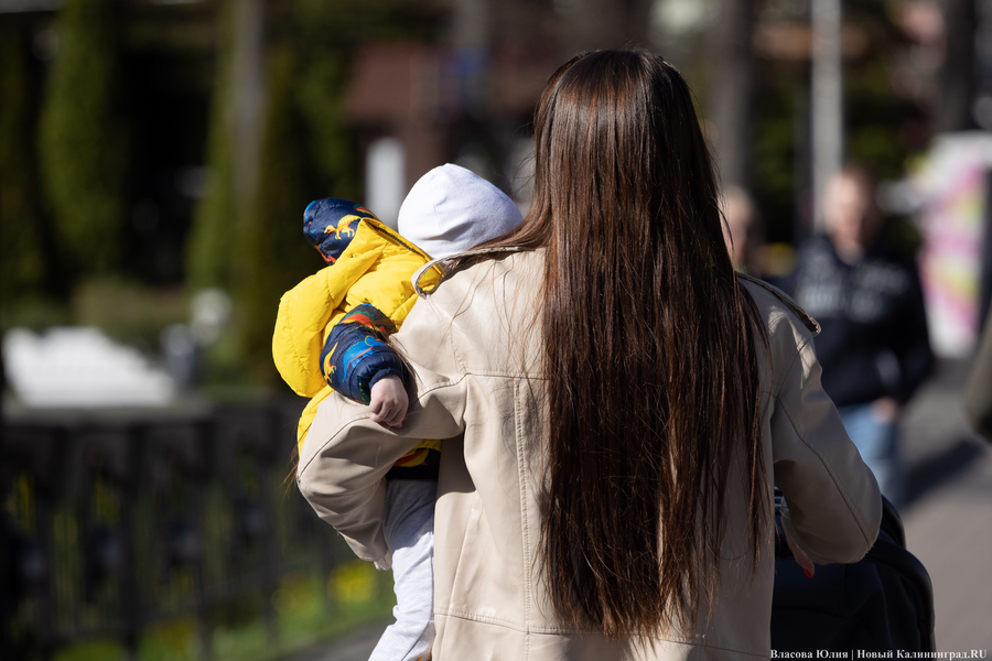 Комитет Госдумы поддержал введение дополнительных выплат для матерей-героинь 