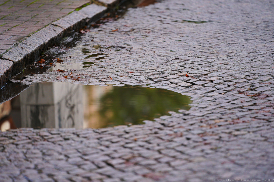 Синоптики обещают тёплую и дождливую рабочую неделю в Калининграде