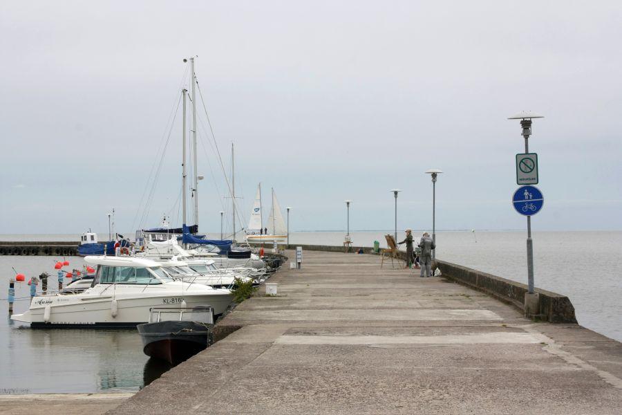 «Литовская цивилизация»: фоторепортаж «Нового Калининграда.Ru» 