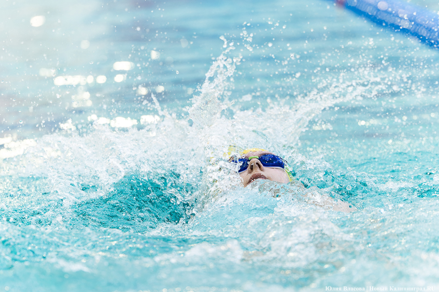 Легкой воды: как Калининград впервые принимал Кубок России по плаванию (фото)