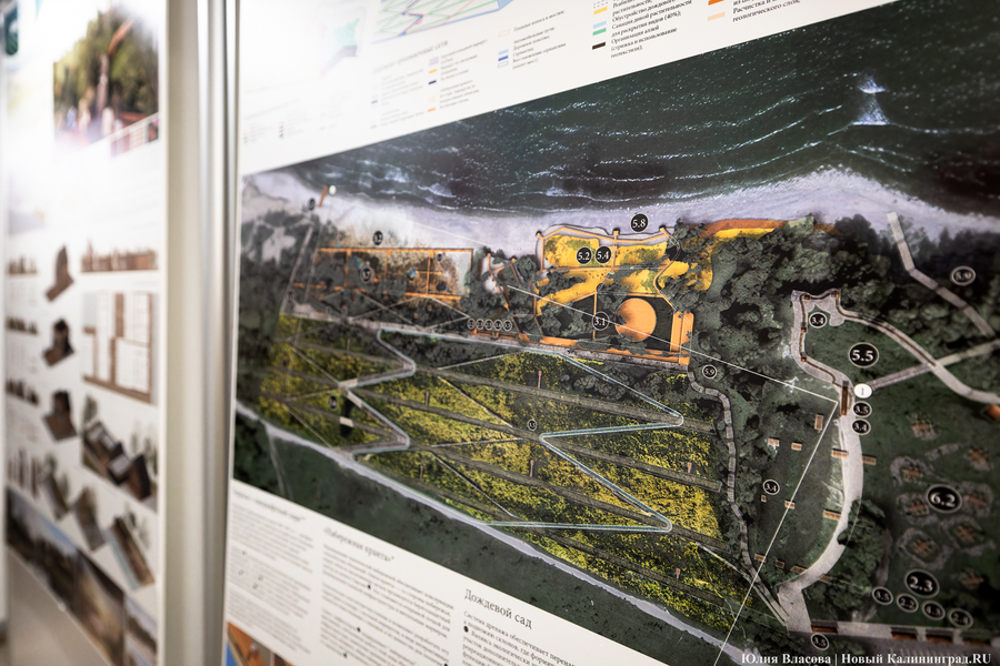 «Гнёзда» на Филинской бухте: проект из Москвы получил первую премию «ЭкоБерега» (фото)