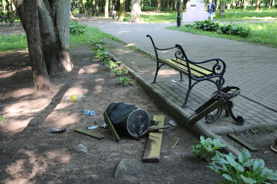 Воищев обещает 10 тыс. за информацию о вандалах, разгромивших парк в Советске