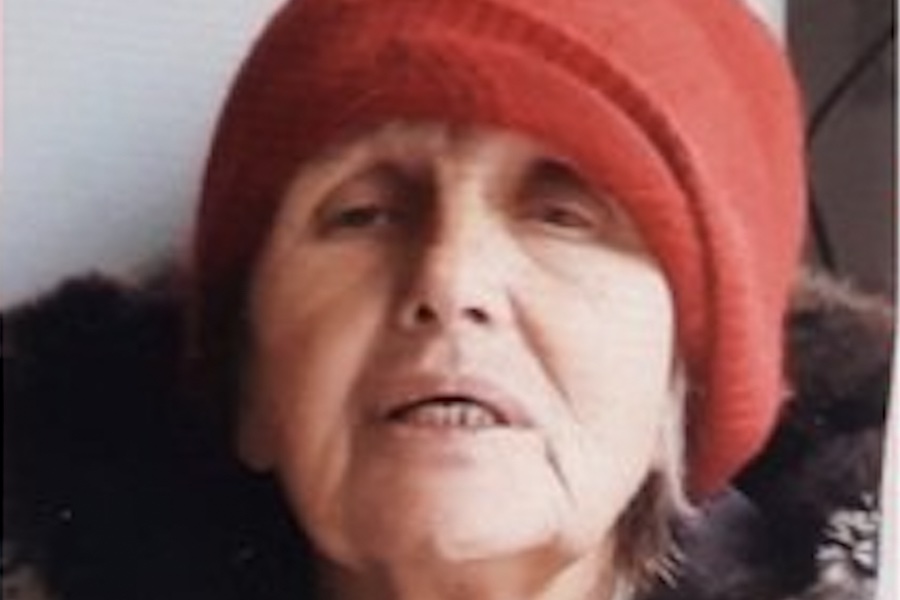 По последним свидетельствам, шла босиком: родные две недели ищут пропавшую пенсионерку (фото)