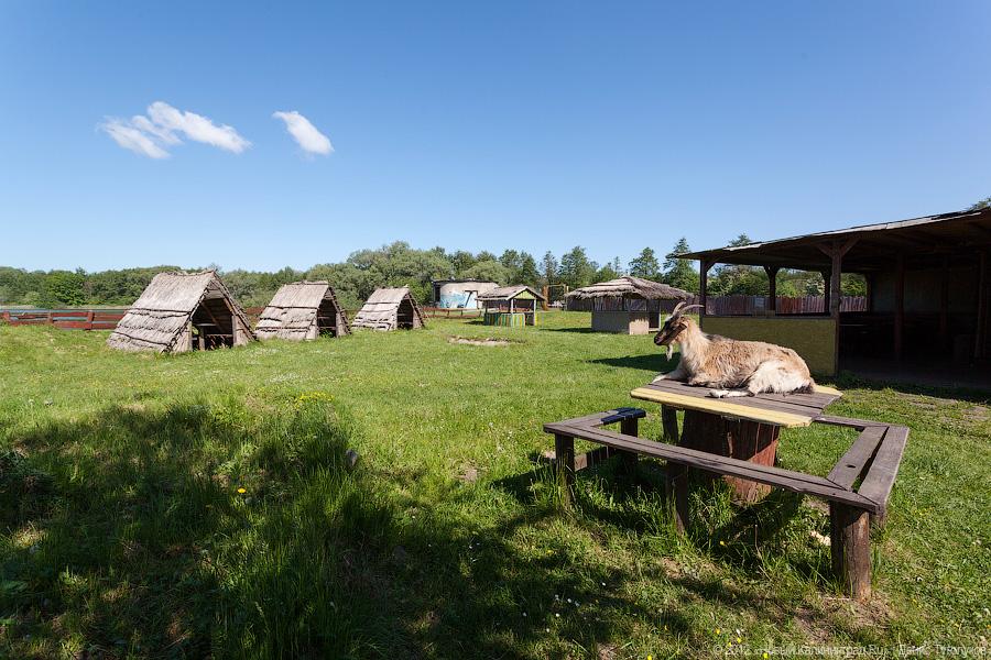 «Маленькие, но свои»: фоторепортаж с калининградских городских пляжей