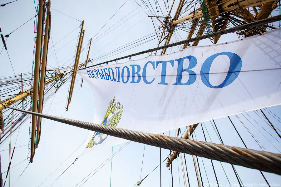 Дадим по струнам: Борислав Струлёв выступил на борту барка «Крузенштерн»