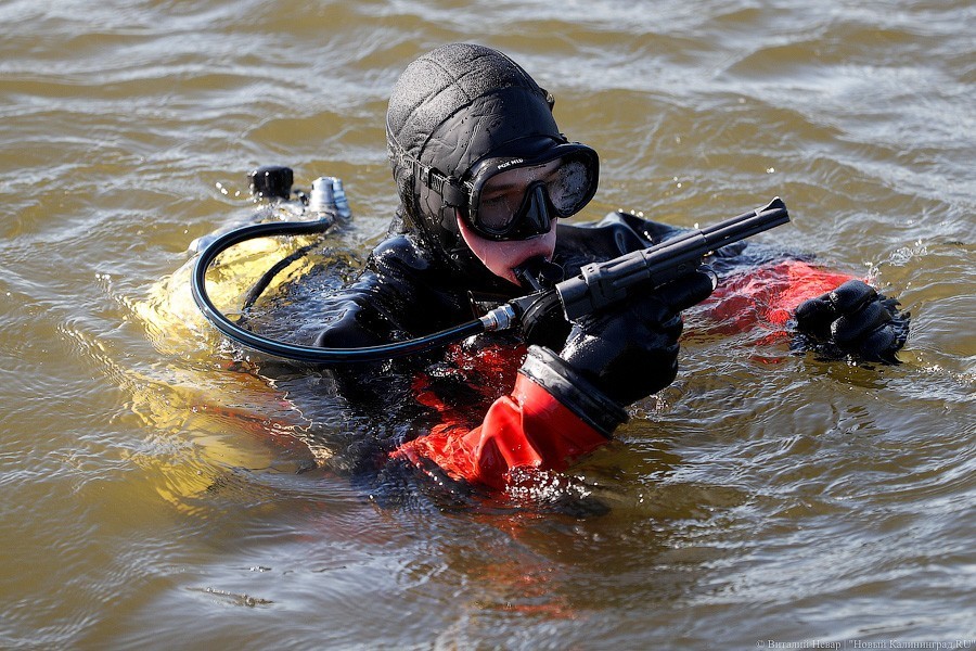 Форма в воде: на Балтике прошли учения противодиверсионного отряда (фото)