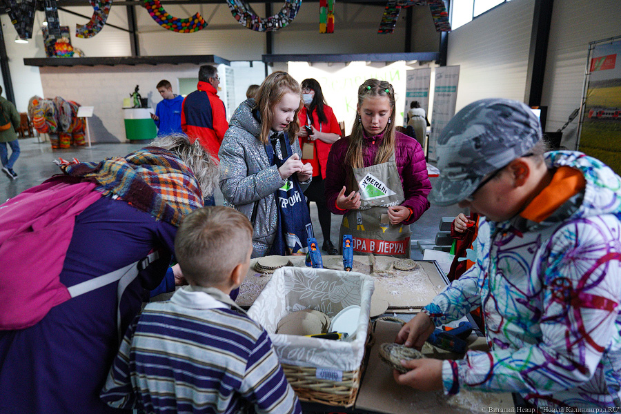 Ничего невозможного: под Калининградом открылся Музей мусора (фото)