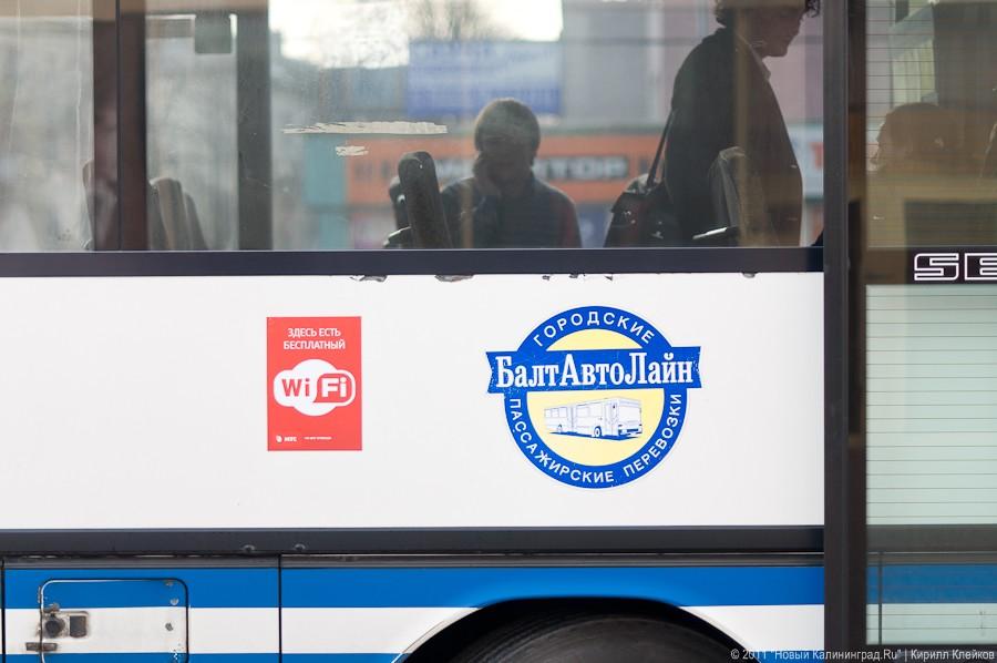 "Самая социальная сеть": фоторепортаж с презентации wi-fi в автобусах