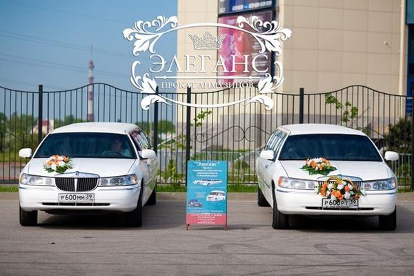 Вы решили сыграть свадьбу в романтичную дату — День всех влюблённых?