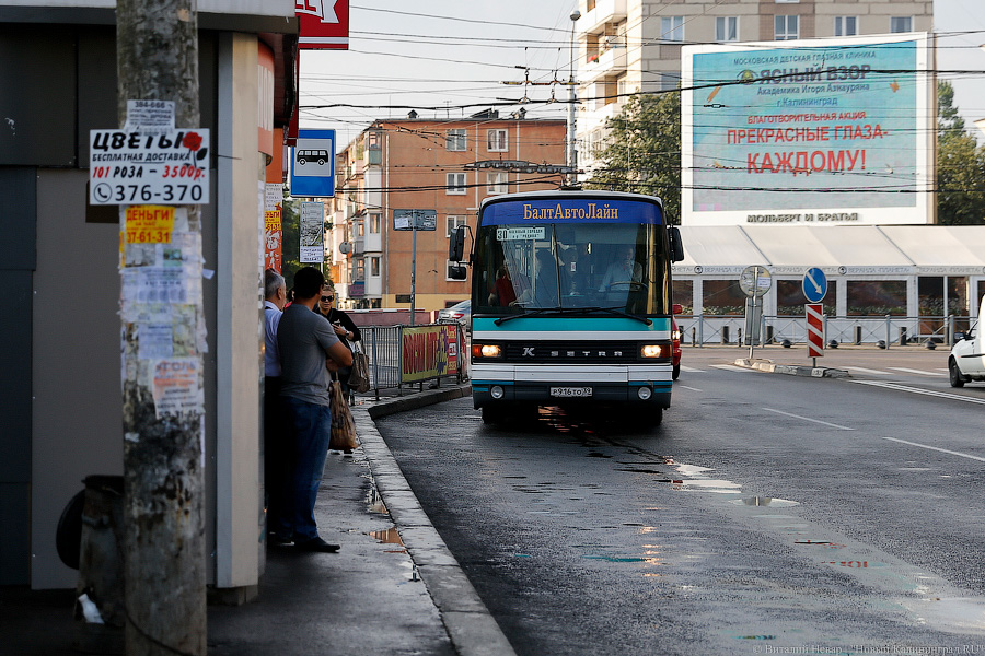 Неуловимый мститель: хроника борьбы мэрии с пошедшим ва-банк «БалтАвтоЛайном»