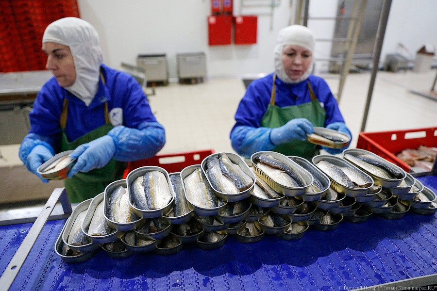 «Россельхозбанк» подал иск о банкротстве крупного резидента ОЭЗ. Он должен 366 млн