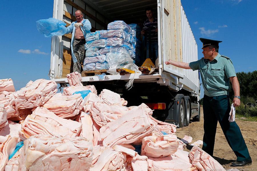 Похороны сала: как под Калининградом санкционную еду уничтожали