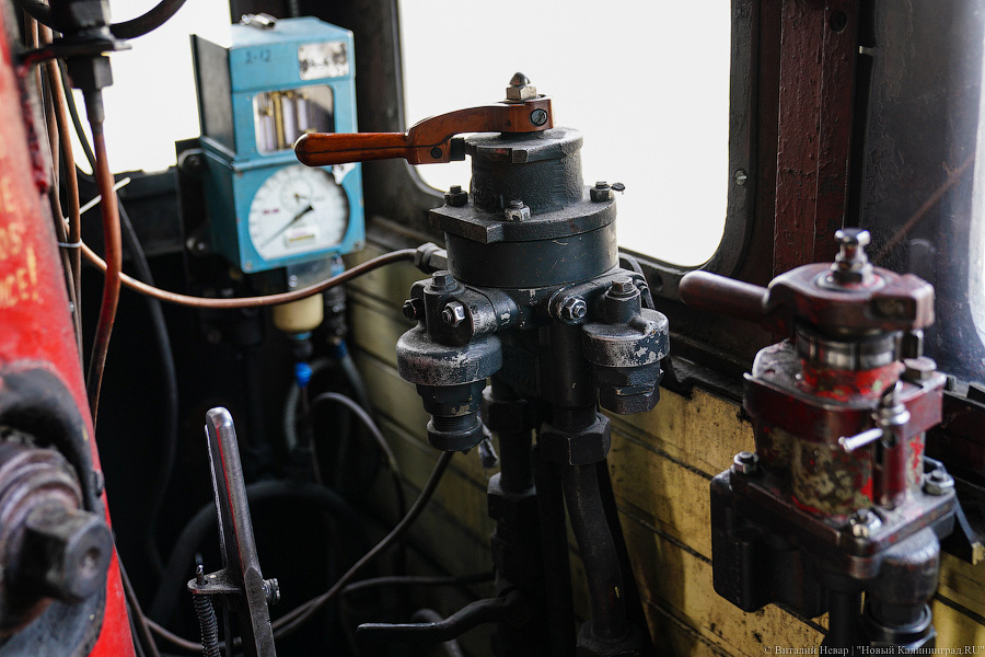 На ретропоезде до Советска: в Калининград привезли туристический паровоз (фото)