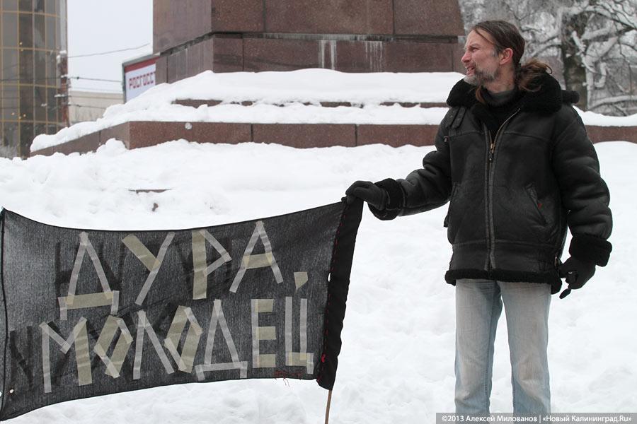 «Дура и молодец»: фоторепортаж с «альтернативного» пикета против «закона Димы Яковлева»