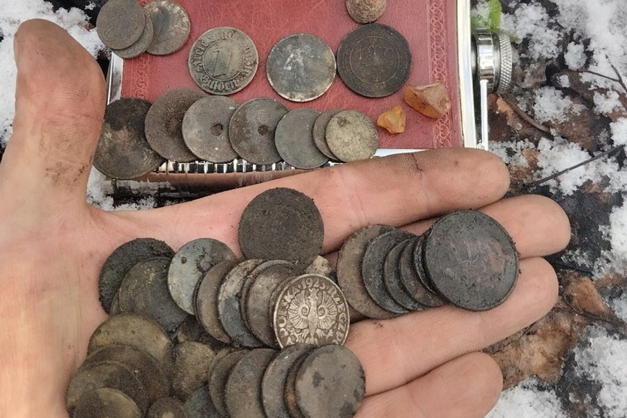 Под Советском на развалинах дома нашли коллекцию монет (фото)