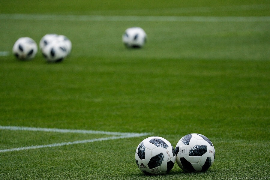 Фото — Виталий Невар, «Новый Калининград»