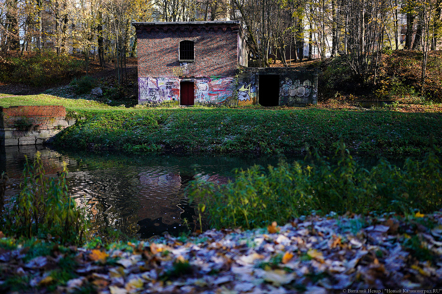 «Мы знали только о войне»: калининградец открывает музей ресторанной жизни Восточной Пруссии