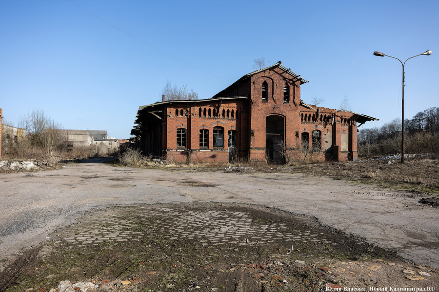 След Розенау: как выглядит заброшенный мясокомбинат на Аллее Смелых (фото)