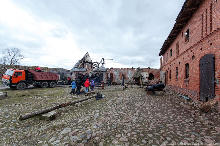 «Шаакен, волонтеры и кот Воровай»: фоторепортаж «Нового Калининграда.Ru»