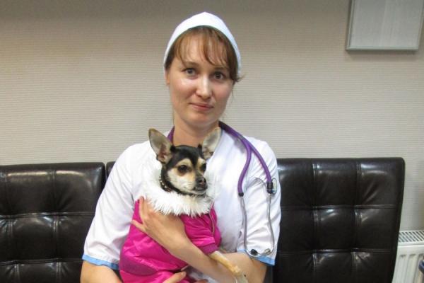 Не тяни, котик, мишуру в ротик!