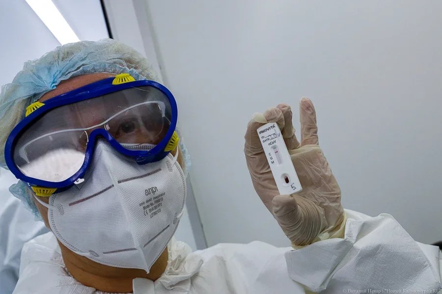 В Калининградской области вновь выросла суточная выявляемость коронавируса