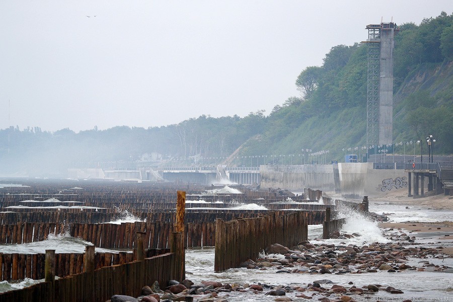 Много лиственницы и чуть песка: как выглядит светлогорский «пляж»  