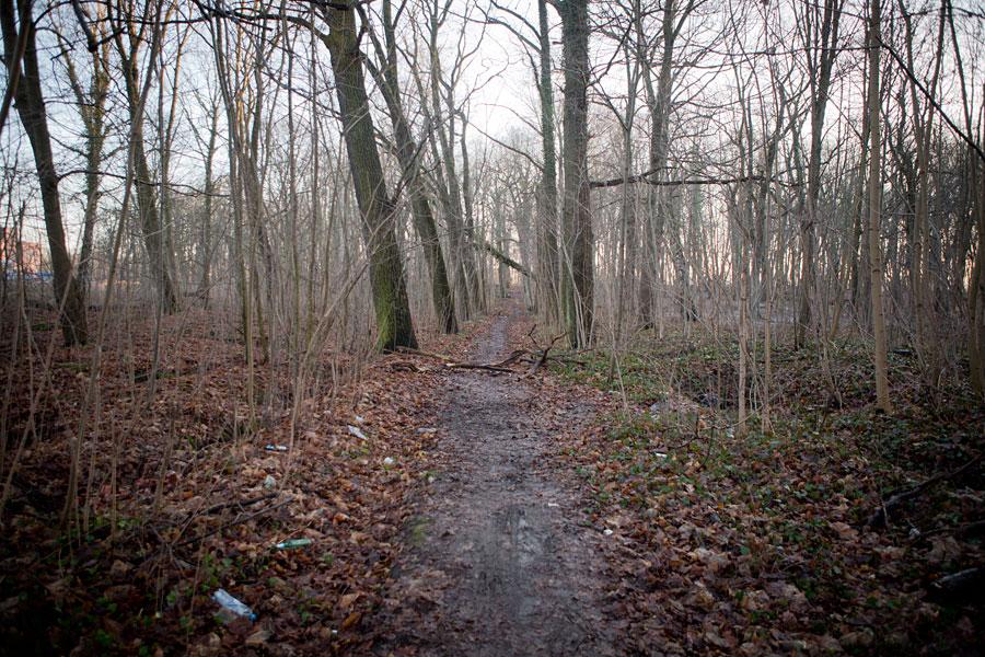 Кладбищенские истории: что происходит с лесопарком на Донского