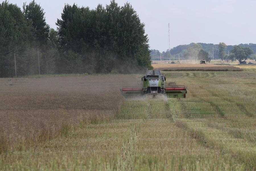Круговое замыкание: как губернатор правдинские сельхозугодья инспектировал (фото)