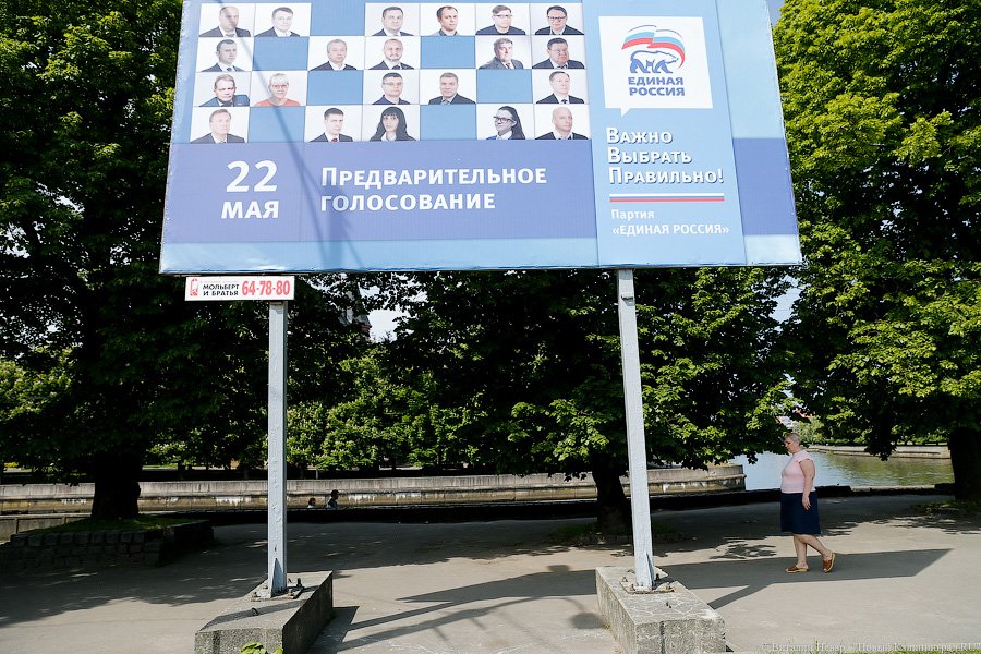 «Выбери меня!»: как проходили праймериз «Единой России» в Калининграде