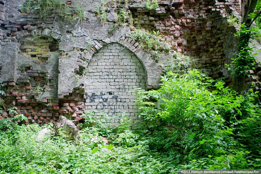 Легенды и лягушки: кирха в поселке Ново-Московское обрастает мхом и преданиями