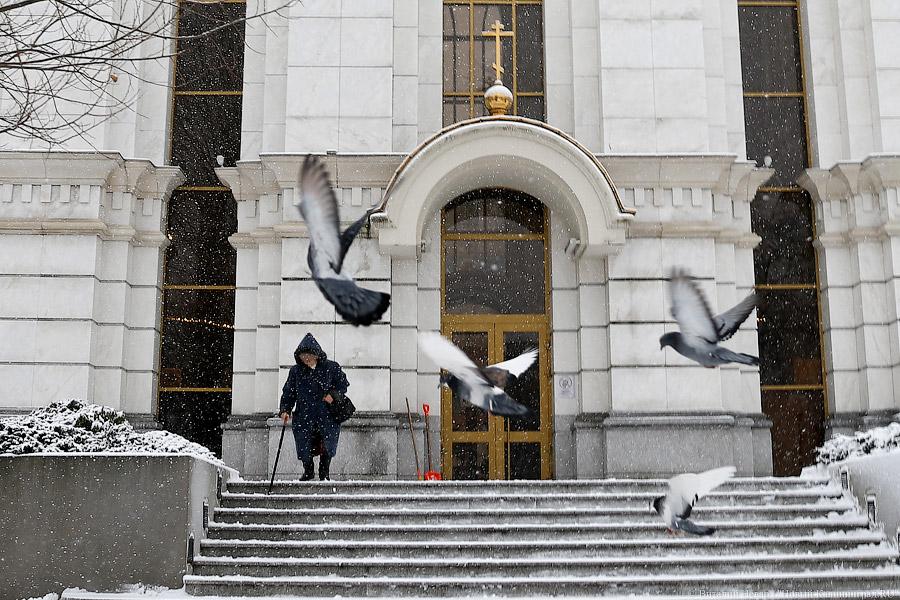 Белый снег, серый лёд: зима в Калининграде (фото)