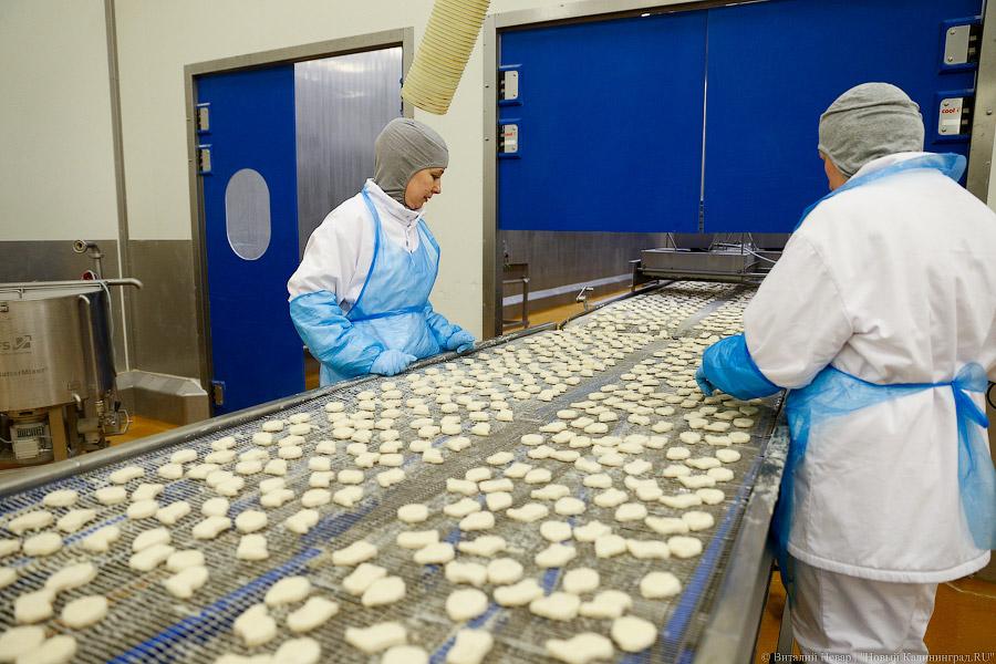 Галопом по котлетам: главе Минсельхоза РФ показали два завода в Калининграде