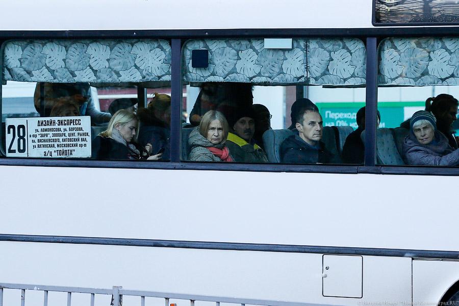 Нет блокировкам: коммунисты Калининграда выступили против закрытия торрентов