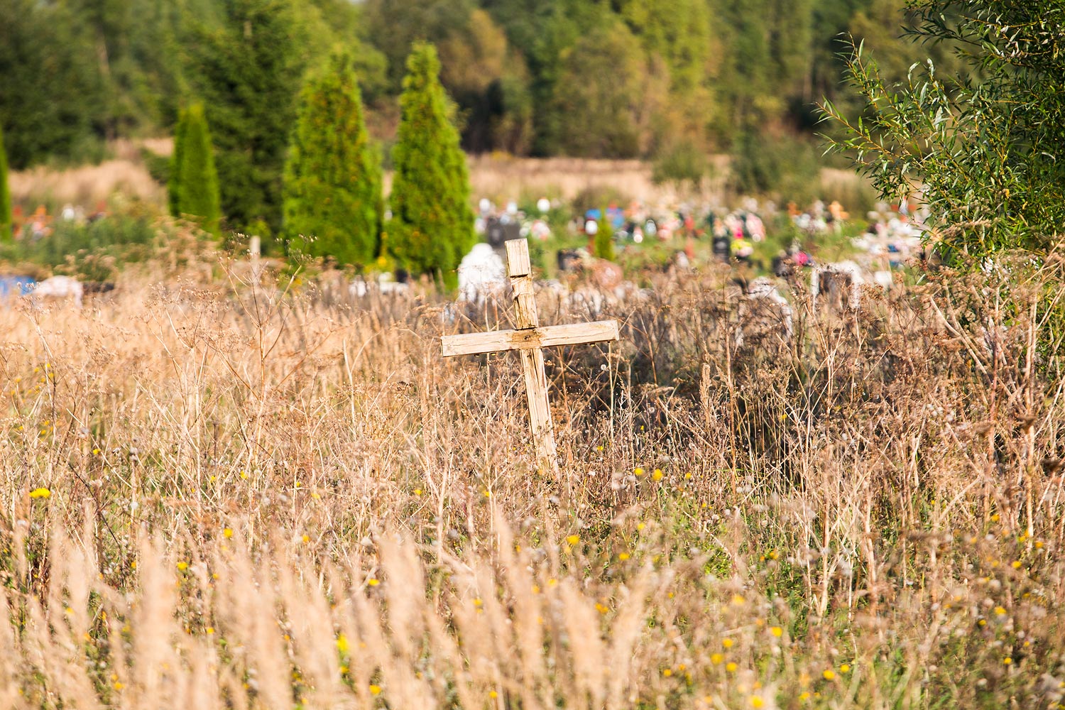 За 8 месяцев в регионе смертность превысила рождаемость почти на тысячу человек