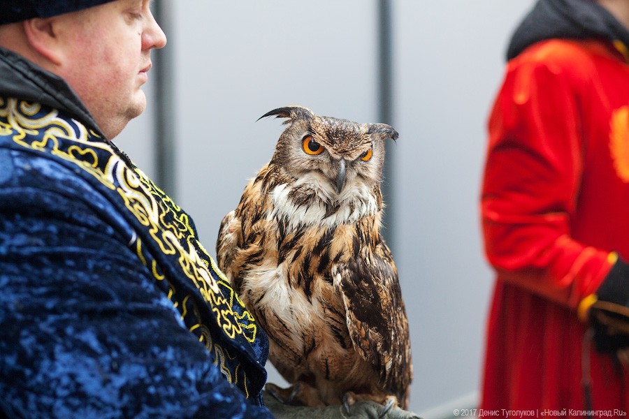 Поперёк горла: где встал комом блин с масленицы в Светлогорске