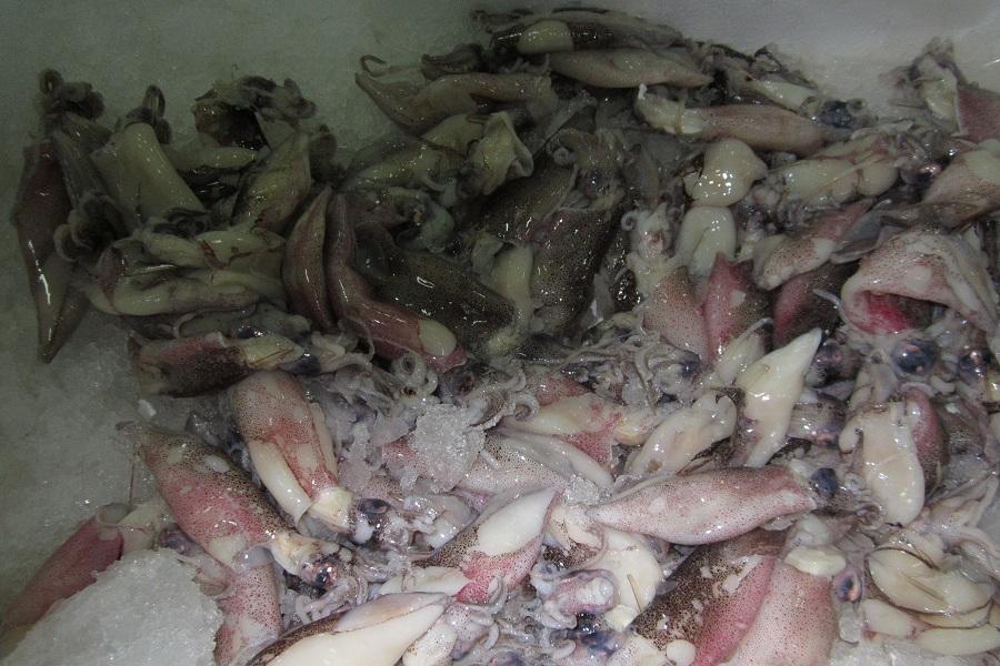 Таможня обнаружила у калининградца в машине 152 кг продуктов без сертификатов (фото)