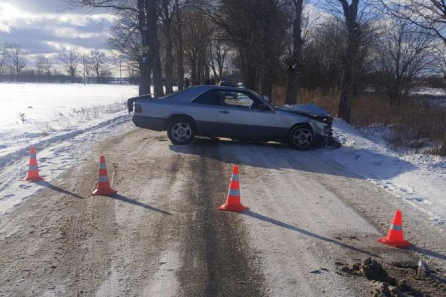Под Зеленоградском авто на летней резине врезалось в дерево, есть пострадавший (видео)