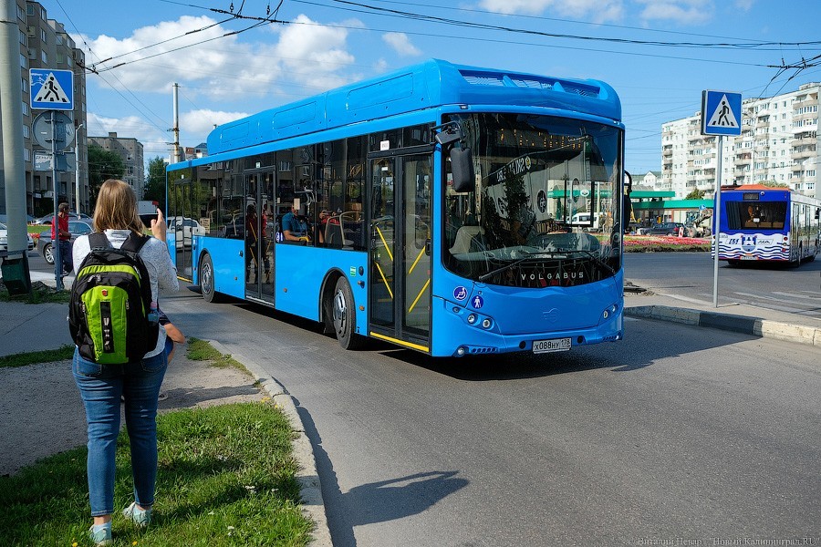 Автобус с розеткой: как в Калининграде испытывают новый вид транспорта