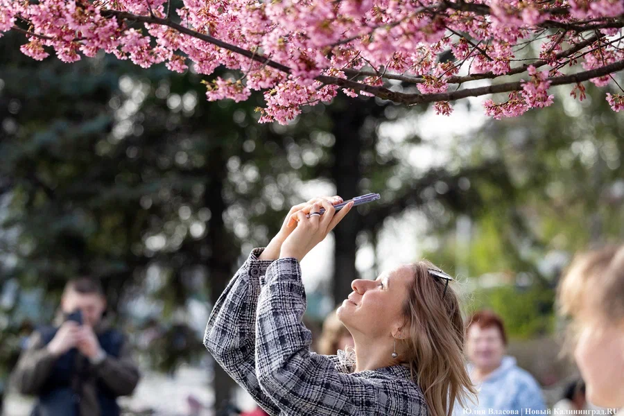 Во ВЦИОМ подсчитали долю жизнерадостных россиян